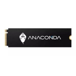 ANACOMDA i2 Fiery Serpent 1TB PCIe Gen3x4 NVMe M.2 2280 Internal SSD