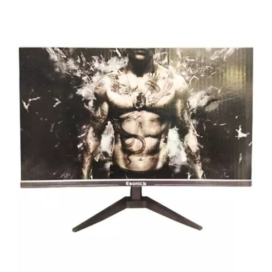 ESONIC 22ELMW 22-inch LED Monitor